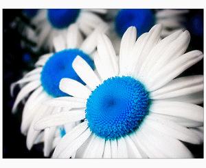 006135[1].jpg