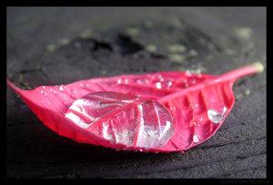 006207[1].jpg