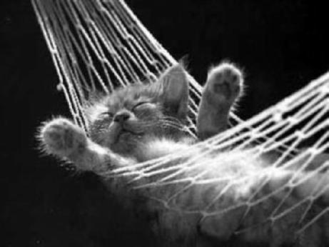 001575[1].jpg