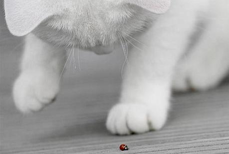 004313[1].jpg